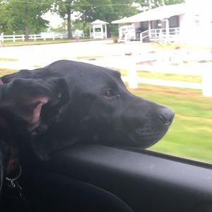 Meet your Posher, Katie